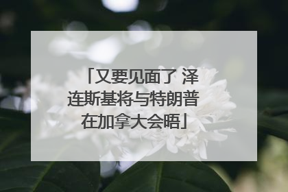 又要见面了 泽连斯基将与特朗普在加拿大会晤