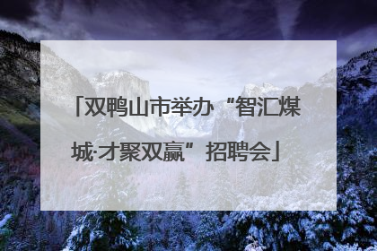 双鸭山市举办“智汇煤城·才聚双赢”招聘会