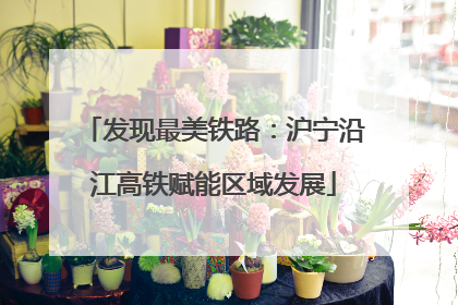 发现最美铁路：沪宁沿江高铁赋能区域发展