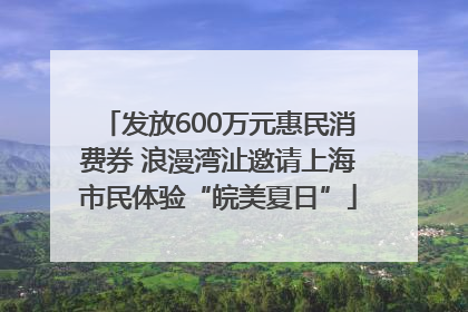 发放600万元惠民消费券 浪漫湾沚邀请上海市民体验“皖美夏日”