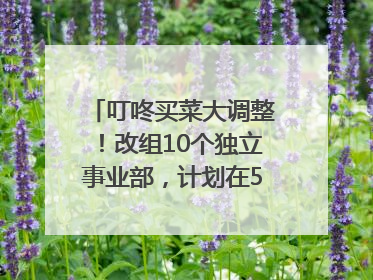 叮咚买菜大调整！改组10个独立事业部，计划在5月完成App端全面改版