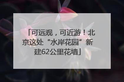 可远观，可近游！北京这处“水岸花园”新建62公里花墙