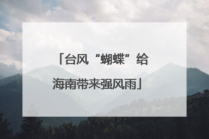 台风“蝴蝶”给海南带来强风雨