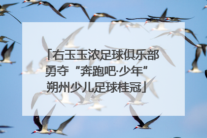 右玉玉浓足球俱乐部勇夺“奔跑吧·少年”朔州少儿足球桂冠
