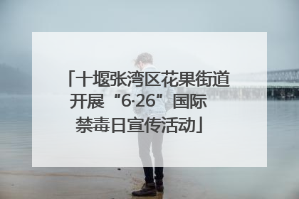 十堰张湾区花果街道开展“6·26”国际禁毒日宣传活动