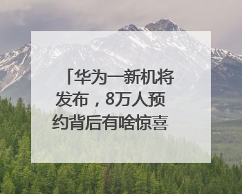 华为一新机将发布，8万人预约背后有啥惊喜？｜热财经