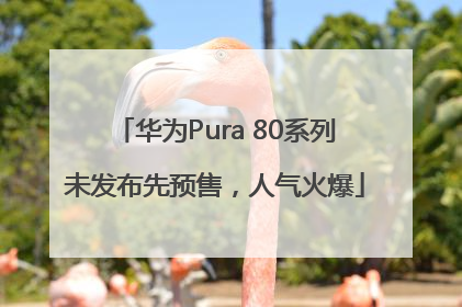 华为Pura 80系列未发布先预售，人气火爆