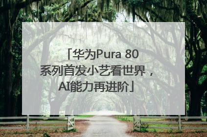 华为Pura 80系列首发小艺看世界，AI能力再进阶