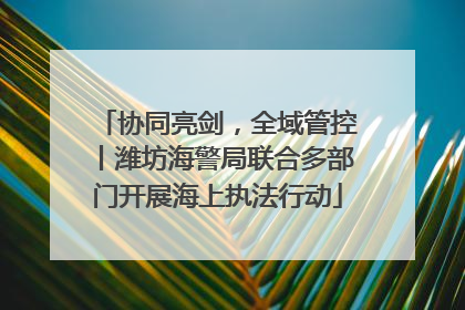 协同亮剑，全域管控丨潍坊海警局联合多部门开展海上执法行动