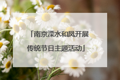 南京溧水和凤开展传统节日主题活动