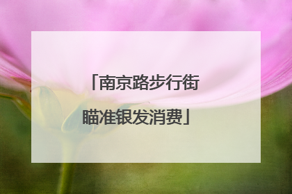 南京路步行街瞄准银发消费