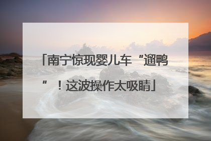 南宁惊现婴儿车“遛鸭”！这波操作太吸睛
