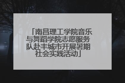 南昌理工学院音乐与舞蹈学院志愿服务队赴丰城市开展暑期社会实践活动