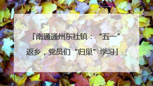南通通州东社镇：“五一”返乡，党员们“归巢”学习