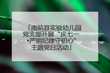 南靖县实验幼儿园党支部开展“庆七一•严明纪律守初心”主题党日活动
