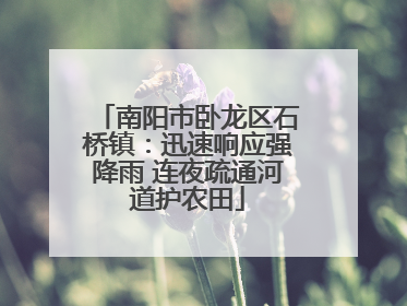 南阳市卧龙区石桥镇：迅速响应强降雨 连夜疏通河道护农田