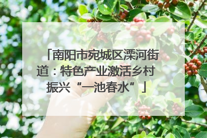 南阳市宛城区溧河街道：特色产业激活乡村振兴“一池春水”