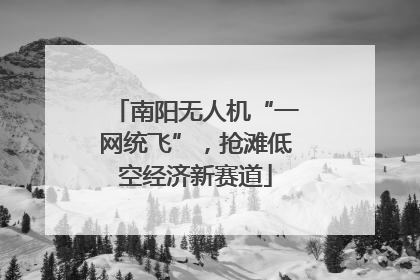 南阳无人机“一网统飞”，抢滩低空经济新赛道