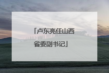 卢东亮任山西省委副书记