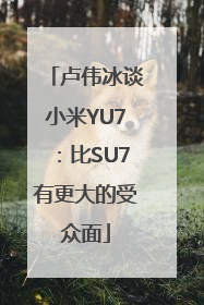 卢伟冰谈小米YU7：比SU7有更大的受众面