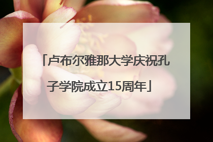 卢布尔雅那大学庆祝孔子学院成立15周年