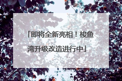即将全新亮相！梭鱼湾升级改造进行中