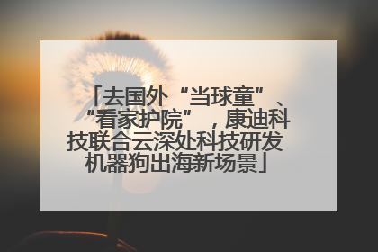 去国外“当球童”、“看家护院”，康迪科技联合云深处科技研发机器狗出海新场景