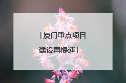 厦门重点项目建设再提速