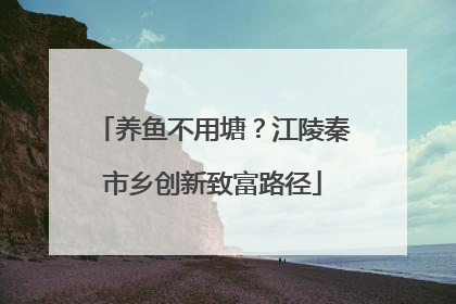 养鱼不用塘？江陵秦市乡创新致富路径