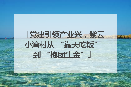 党建引领产业兴，紫云小湾村从 “靠天吃饭” 到 “抱团生金”