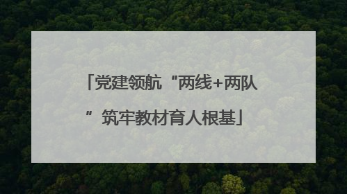 党建领航“两线+两队”筑牢教材育人根基