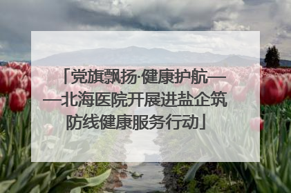 党旗飘扬·健康护航——北海医院开展进盐企筑防线健康服务行动