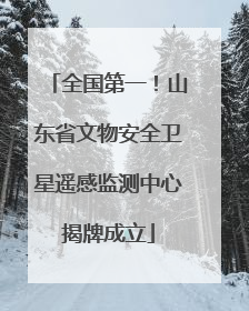 全国第一！山东省文物安全卫星遥感监测中心揭牌成立