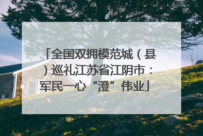 全国双拥模范城（县）巡礼江苏省江阴市：军民一心“澄”伟业