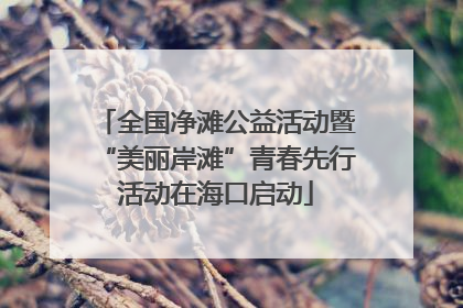 全国净滩公益活动暨“美丽岸滩”青春先行活动在海口启动