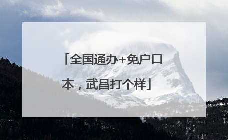 全国通办+免户口本，武昌打个样