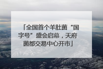 全国首个羊肚菌“国字号”盛会启幕，天府菌都交易中心开市