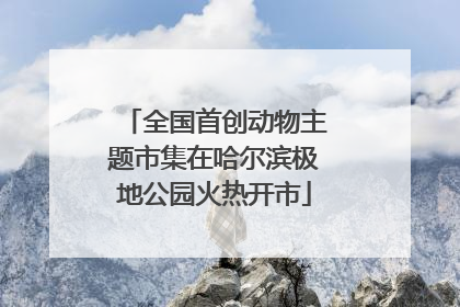 全国首创动物主题市集在哈尔滨极地公园火热开市