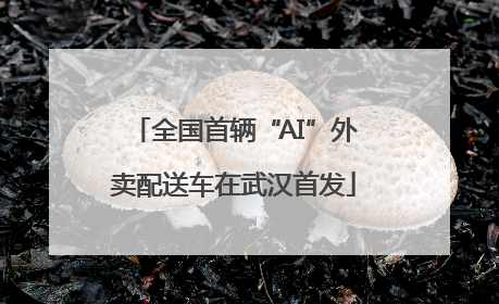 全国首辆“AI”外卖配送车在武汉首发