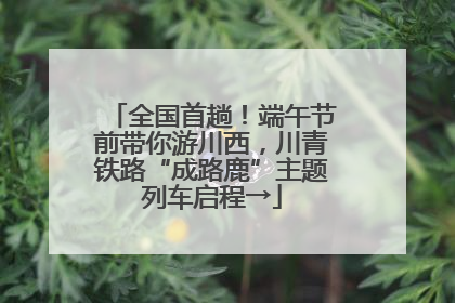 全国首趟！端午节前带你游川西，川青铁路“成路鹿”主题列车启程→