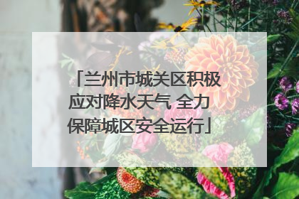 兰州市城关区积极应对降水天气 全力保障城区安全运行