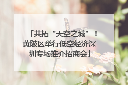共拓“天空之城”！黄陂区举行低空经济深圳专场推介招商会