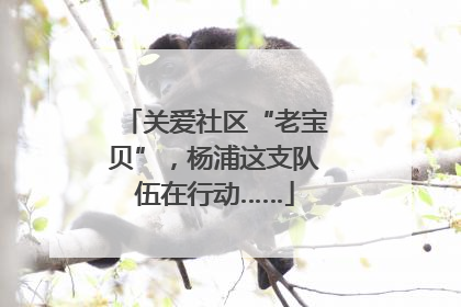 关爱社区“老宝贝”，杨浦这支队伍在行动……