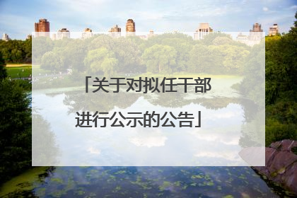 关于对拟任干部进行公示的公告