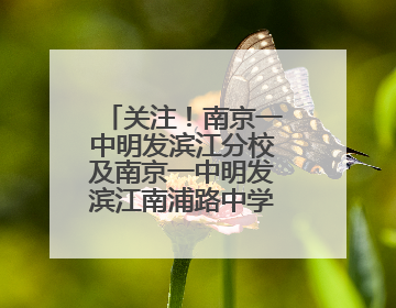 关注！南京一中明发滨江分校及南京一中明发滨江南浦路中学公开招聘
