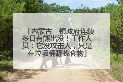 内蒙古一镇政府连续多日有熊出没！工作人员：它没攻击人，只是在垃圾桶翻找食物