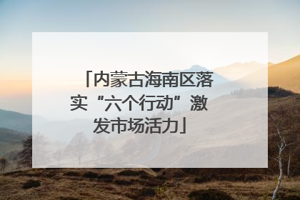 内蒙古海南区落实“六个行动”激发市场活力