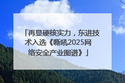 再显硬核实力，东进技术入选《嘶吼2025网络安全产业图谱》