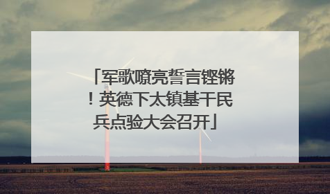 军歌嘹亮誓言铿锵！英德下太镇基干民兵点验大会召开