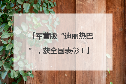 军营版“迪丽热巴”，获全国表彰！